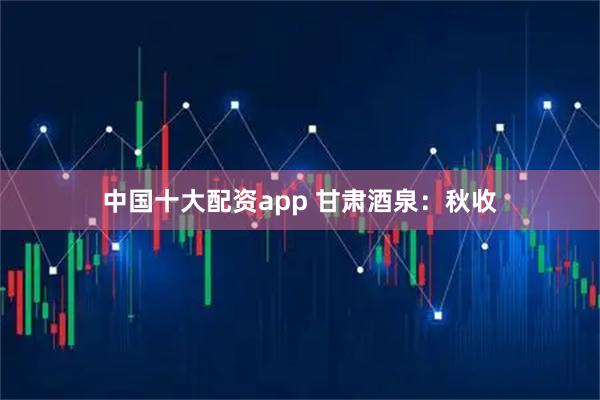 中国十大配资app 甘肃酒泉：秋收