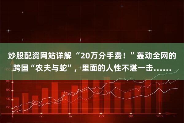炒股配资网站详解 “20万分手费！”轰动全网的跨国“农夫与蛇”，里面的人性不堪一击……